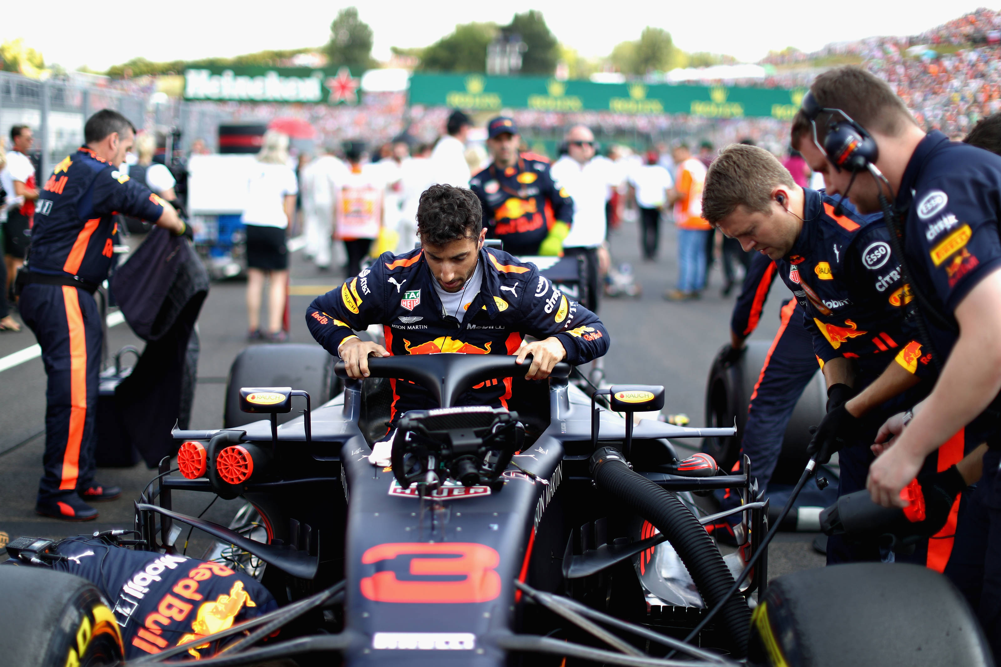 Marko: “Ricciardo disse-me que iria assinar durante o teste da Hungria”